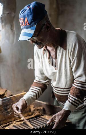 Fabbrica di sigari a San Antonio de los Baños, provincia di Artemisa, Cuba Foto Stock