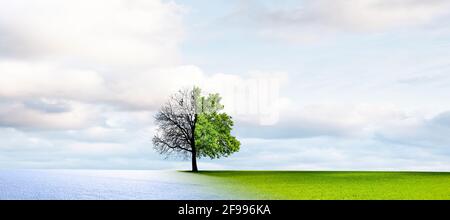 Cambio di stagione da inverno a estate Foto Stock