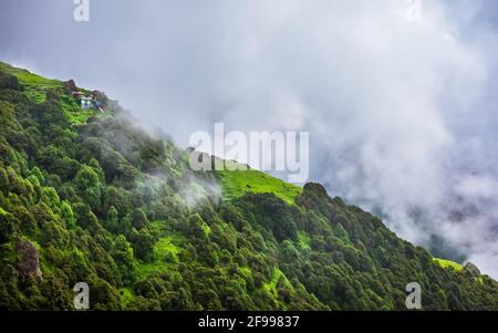 Pendio di montagna boschivo con le conifere sempreverde avvolte nella nebbia in una vista panoramica paesaggio a Mcleod ganj, Himachal Pradesh, India. Foto Stock