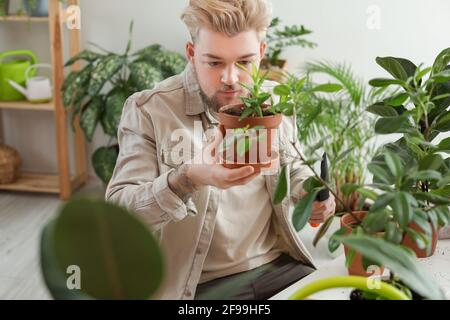 Giovane uomo che si prende cura delle piante a casa Foto Stock