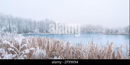 Lago di foresta in nevicate. Rilassante paesaggio invernale panoramico di un lago boschivo, idilliaco sfondo naturale stagionale, alberi bianchi e acqua ghiacciata del lago Foto Stock