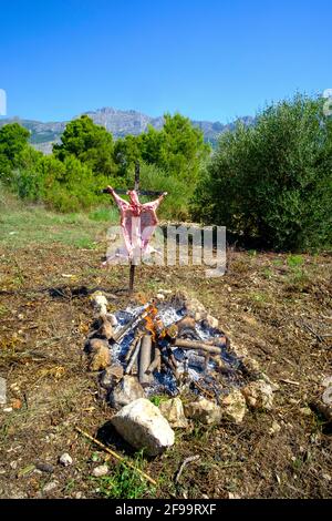 Agnello intero asado, barbecue su croce di ferro spiedo accanto al fuoco aperto in Altea la Vella, Alicante, Spagna Foto Stock