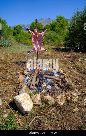 Agnello intero asado, barbecue su croce di ferro spiedo accanto al fuoco aperto in Altea la Vella, Alicante, Spagna Foto Stock