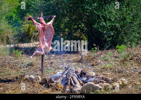 Agnello intero asado, barbecue su croce di ferro spiedo accanto al fuoco aperto in Altea la Vella, Alicante, Spagna Foto Stock