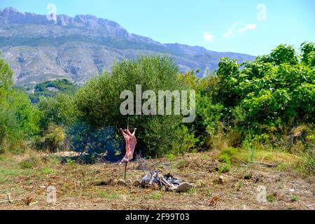 Agnello intero asado, barbecue su croce di ferro spiedo accanto al fuoco aperto in Altea la Vella, Alicante, Spagna Foto Stock