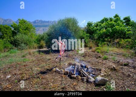 Agnello intero asado, barbecue su croce di ferro spiedo accanto al fuoco aperto in Altea la Vella, Alicante, Spagna Foto Stock