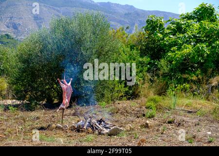 Agnello intero asado, barbecue su croce di ferro spiedo accanto al fuoco aperto in Altea la Vella, Alicante, Spagna Foto Stock