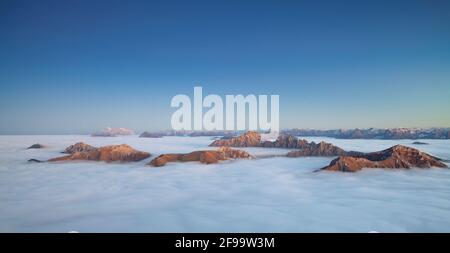All'ora blu, le cime di montagna che si innalzano dal mare di nuvole vicino a Tannheim nelle Alpi di Allgäu. Sullo sfondo Zugspitze, Mieminger Ketter e le Alpi Lechtal. Tirolo, Austria, Europa Foto Stock