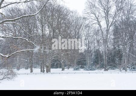 Berlino-Tiergarten, parco innevato Foto Stock