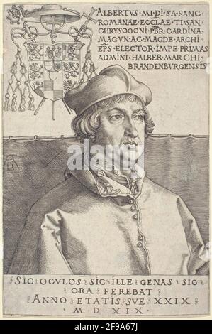 Cardinale Albrecht di Brandeburgo ("piccolo cardinale"), 1519. Foto Stock