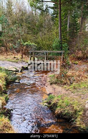 Passerella sopra il piccolo fornello di Cropton Forest North Yorkshire Foto Stock