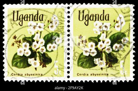 MOSCA, RUSSIA - 22 SETTEMBRE 2019: Due francobolli stampati in Uganda mostrano cordia africana orientale (Cordia abyssinica), Flora nativa serie, circa 1969 Foto Stock