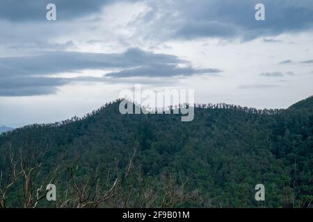 Cresta del Monte Cuthbertson dal sentiero del Monte Mitchell. Foto Stock