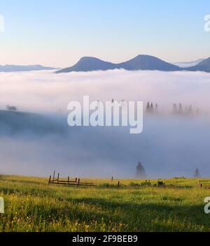 Paesaggio con alte montagne. La nebbia di mattina presto. Incredibile giornata d'autunno. Foresta dei pini. Un luogo dove rilassarsi nel Parco dei Carpazi. Na Foto Stock