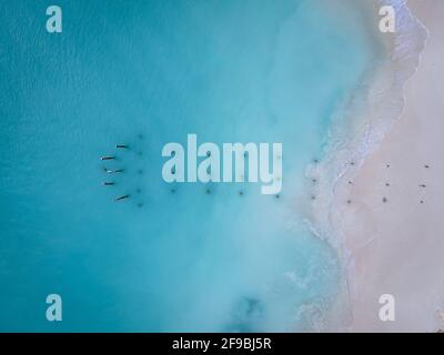 Aereo da Eagle Beach su Aruba nei Caraibi, bird ey vista sulla spiaggia con ombrellone presso Aruba Eagle Beach con oceano blu Foto Stock