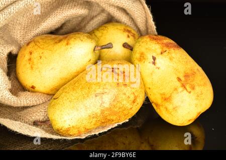 Un gruppo di quattro pere mature in una borsa di iuta, primo piano, su uno sfondo nero. Foto Stock