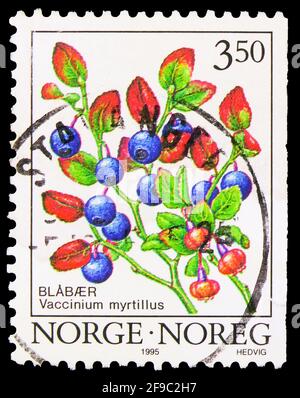 MOSCA, RUSSIA - 24 SETTEMBRE 2019: Francobollo stampato in Norvegia mostra mirtillo (Vaccinium myrtillus), frutti di bosco serie, circa 1995 Foto Stock