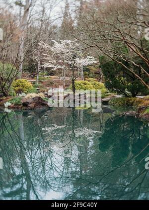 Albero fiore riflesso in giardino giapponese a Gibbs Gardens Georgia Foto Stock