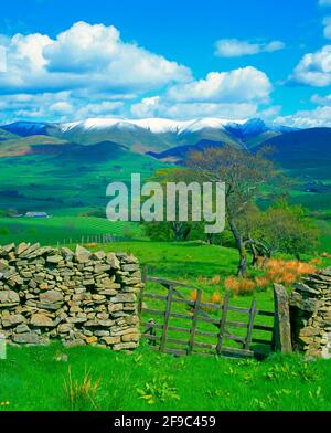 Regno Unito, Inghilterra, Cumbria, paesaggio primaverile con la neve innevata Langdale cadde, Foto Stock