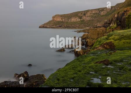 Costa rocciosa a Llandudno, Galles del Nord. Vista del Grande Orme e rocce ricoperte di alghe Foto Stock