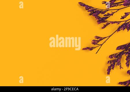 Composizione piatta con fiori secchi e rami su sfondo giallo, concetto di spazio di lavoro minimo con spazio di copia Foto Stock