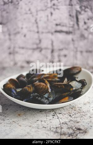 Cozze di mare fresche e grezze in ciotola di ceramica bianca sfondo di pietra Foto Stock