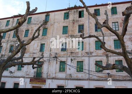 Rami selvaggi di un albero piano afferrare la façade di un grande edificio vecchio con finestre verdi Foto Stock