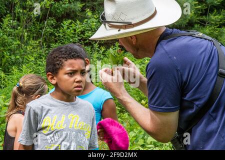 I bambini imparano la natura con un naturalista addestrato Foto Stock