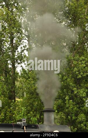 Locomotiva a vapore piena di carbone che corre su una pista attraverso la campagna Foto Stock