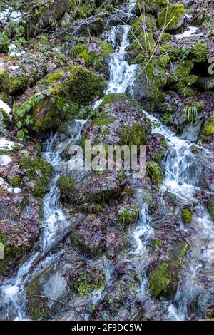 Una piccola cascata di fiume nella foresta Foto Stock