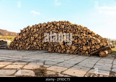 Legno tagliato fresco in un fiocco esterno Foto Stock