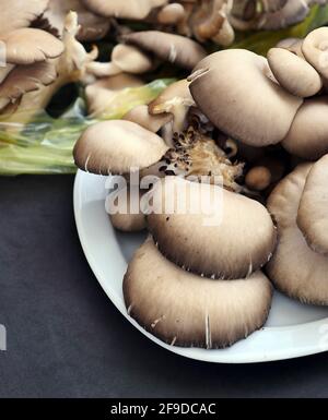 funghi di ostrica freschi, funghi di ostrica ad alto valore nutrizionale, Foto Stock