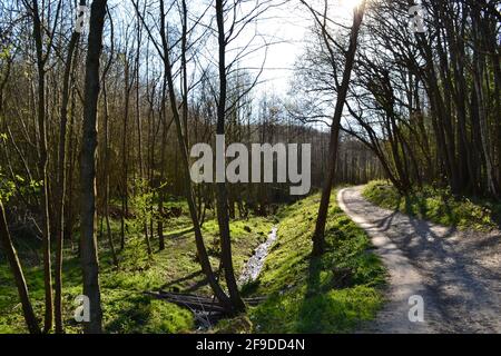 Vista dalla tenuta di Ightham Mote, a Kent, aprile, primavera. Un'area di sentieri, boschi e ripide colline sul crinale di Greensand, Kent Weald Foto Stock