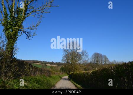 Vista dalla tenuta di Ightham Mote, a Kent, aprile, primavera. Un'area di sentieri, boschi e ripide colline sul crinale di Greensand, Kent Weald Foto Stock