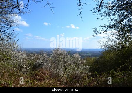 Vista dalla tenuta di Ightham Mote, a Kent, aprile, primavera. Un'area di sentieri, boschi e ripide colline sul crinale di Greensand, Kent Weald Foto Stock