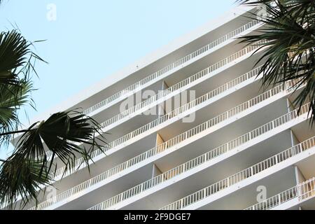 Grande condominio residenziale bianco a Brickell, Miami Florida. Palma di lato. Foto Stock