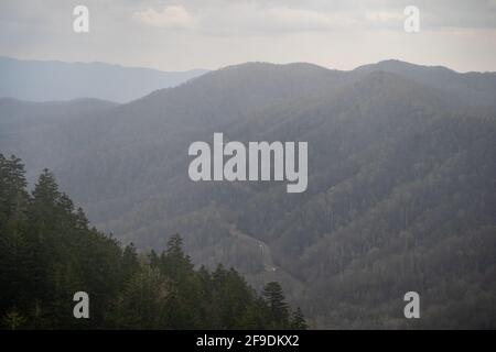 autostrada 441 che si snoda attraverso il grande parco nazionale di montagna fumosa in un giorno di nebbiosa Foto Stock