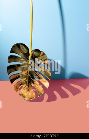 Layout creativo fatto di colori e oro tropicale lasciare sfondo blu e rosa. Concetto esotico estivo minimo con spazio di copia. Foto Stock