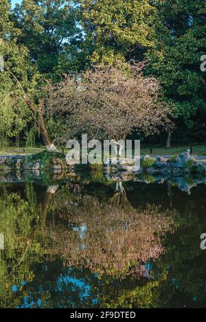 Paesaggi naturali nel Parco di Huagang, Lago Ovest di Hangzhou, Cina. Traduzione in cinese per: Huagang Park. Foto Stock