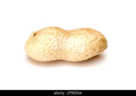 Arachidi. Dado intero isolato su sfondo bianco senza ombra. Primo piano macro di arachidi. Profondità di campo completa. Foto Stock