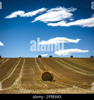 Una paglia balla dopo la mietitura. Pianura Limagne, Puy-de-Dome, Auvergne-Rodano-Alpi, Francia Foto Stock