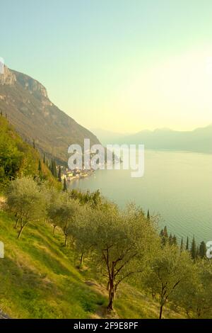 Lago d'Italia, splendida vista panoramica. Colori verde brillante. Foto Stock