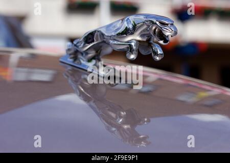 Figurine Jaguar cromate montate sul cofano di un classico auto Foto Stock