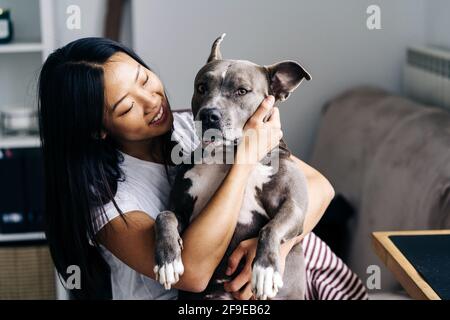 Contenuto femmina etnico che abbraccia lo Staffordshire Terrier americano seduto in poltrona in camera Foto Stock