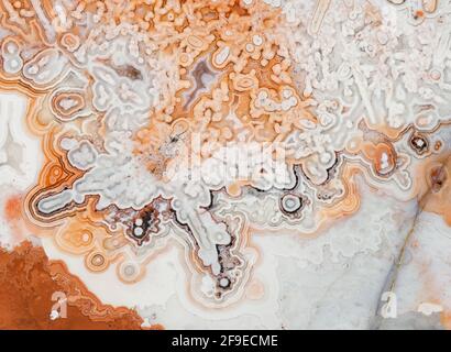 Macro texture fotografia dei colori e dei motivi in un Agata di merletti dal Messico Foto Stock
