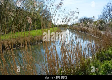 Anglesey Abbey Cambridge UK, Nature Walk Foto Stock