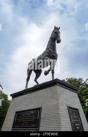 La famosa statua di Kala Ghoda, un simbolo del patrimonio di Mumbai, India Foto Stock
