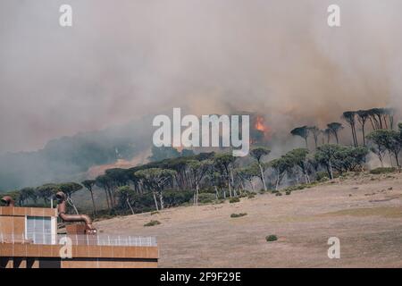 Wildfire infuria attraverso la pineta sulla Table Mountain vicino a Rodi Memoriale Foto Stock