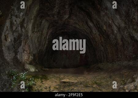 Vista sull'ingresso di una grotta scura simile a un tunnel nel Parco Nazionale di Plitvitzer. Foto Stock