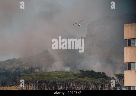 I vigili del fuoco si affrettano a spegnere un incendio che infuria attraverso il pino On Table Mountain vicino a Rhodes Memorial [fuoco di testa dell'elicottero] Foto Stock